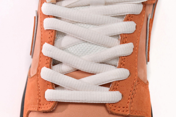 Concepts x Nike SB Dunk Low “Orange Lobster” FD8776-800