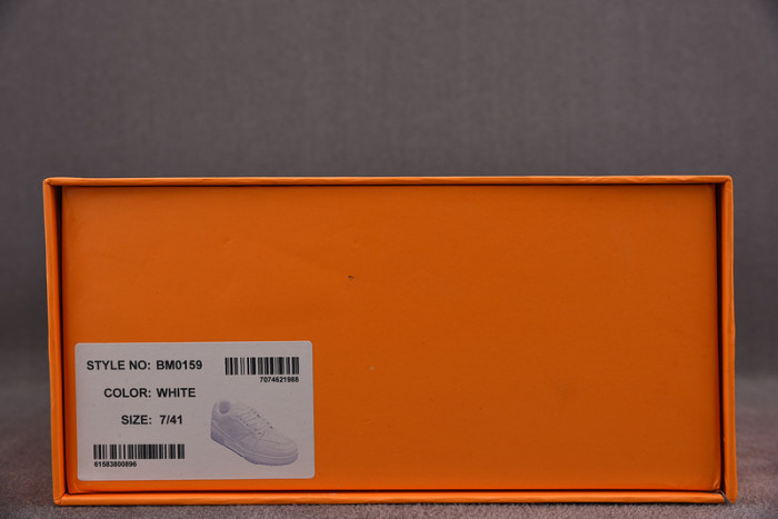 LV TRAINER SNEAKER LOW